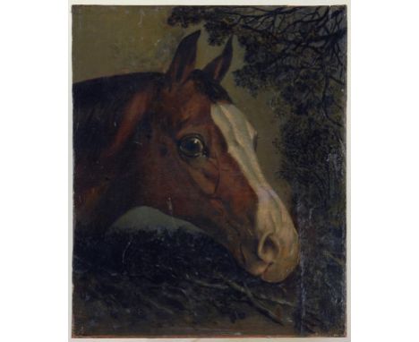 FOLLOWER OF JOHN FERNELEY - HEAD OF A HORSE, OIL ON CANVAS, LAID ON COPPER PANEL, 26CM X 21.5CM, UNFRAMED