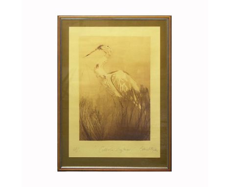 BETTINA MCMAHON (1930 - 2024). CALLALA BAY HERON. Proof Etching, 33cms x 49cms (plate), signed,, titled and marked A/P in pen