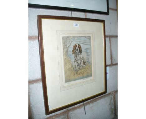H Wilkinson " Liver and white Springer Spaniel" , limited edition print signed in pencil by the artist.