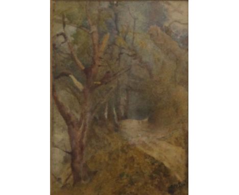 A miniature watercolour on paper of a Woodland Path, initialled A M D, framed and glazed. 5 x 7 cm. 