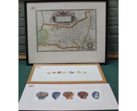 A framed printed Saxton's map of Suffolk plus framed and loose Susie Yates prints of shells, both limited editions 10/100 and