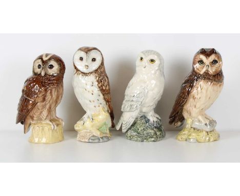 A Set of Four Royal Doulton Owls A Set of Four Royal Doulton Owls – Snowy, Barn, Tawny, Short Eared (Modelled by John Tongue 