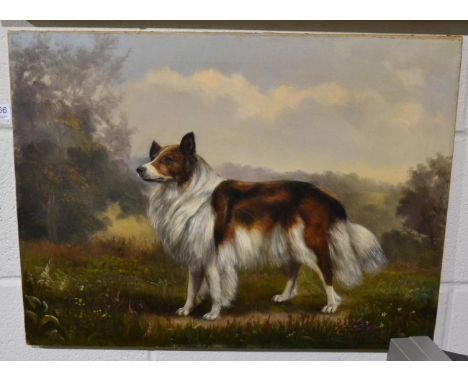English School (late 19th century) portrait of a dog, oil on canvas, re-lined