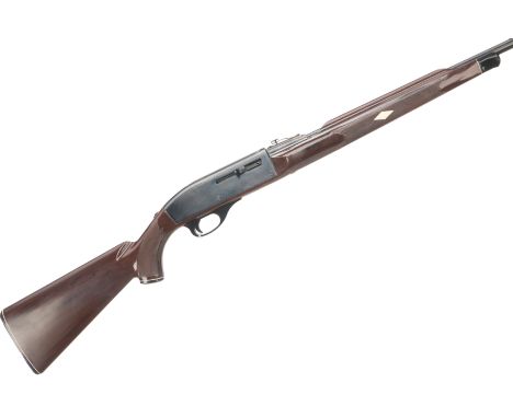 REMINGTON  A MOD NYLON 66 .22LR SEMI AUTO RIFLE Ser No. 22100  Chequered wood effect synthetic stock, post front sight, notch