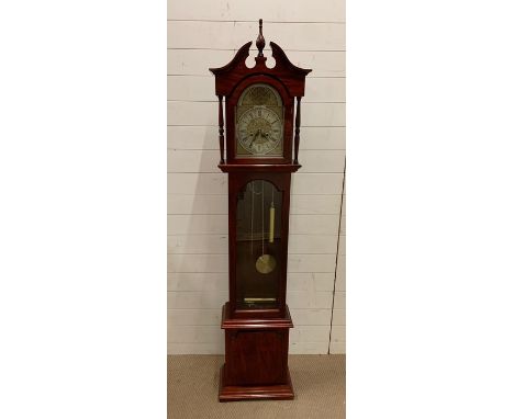 A Tempus Fugit style longcase clock 