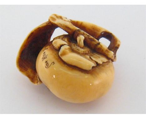 An ivory okimono carving of a persimmon fruit with two leaves, signed Jing-Shan-Jia-Dao, circa 1900. Condition reportGood con