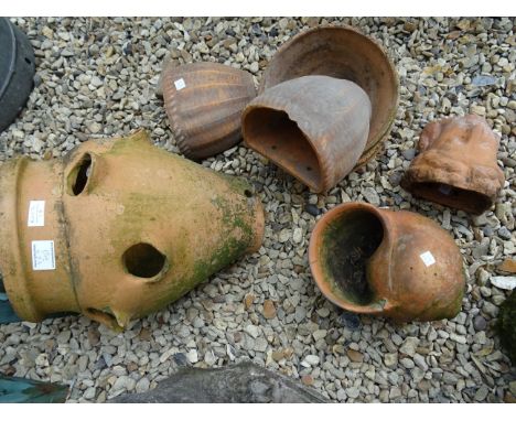 Collection of terracotta planters to include large strawberry planter