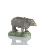 Rhinozeros