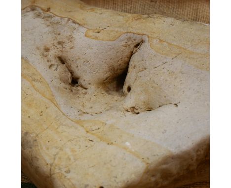 PALEONTOLOGY INTEREST - A large piece of sedimentary rock with Dinosaur footprint, probably a Therapod impression, compressio