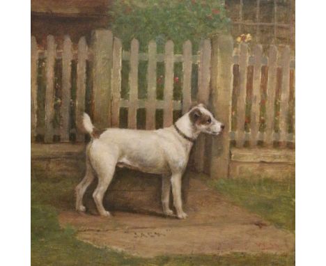 William Henderson Of Whitby (1844-1904): 'Jack' portrait of a Terrier, oil on artist's board  initialed and titled, Whitby la
