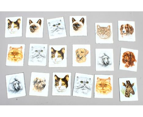 After Derek Brow, 18 miniature enamel plaques, portraits of dogs and cats.