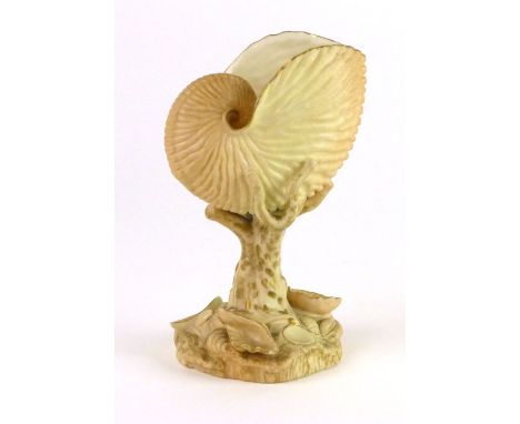 A Royal Worcester blush ivory nautilus shell vase on a naturalistic base, p.d.c.m. 1900, h. 17 cm CONDITION REPORT: No obviou