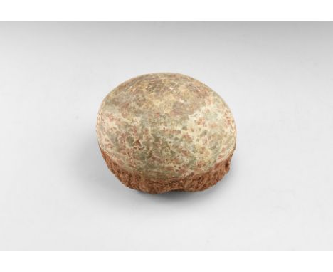 Cretaceous Period, 110-125 million years BP. A fossil hadrosaur Charonosaurus egg on matrix retaining evidence of the origina