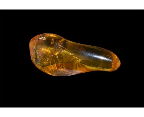 Oligocene Period, 45 million years BP. A clear piece of Baltic amber containing an insect together with other inclusions.   1