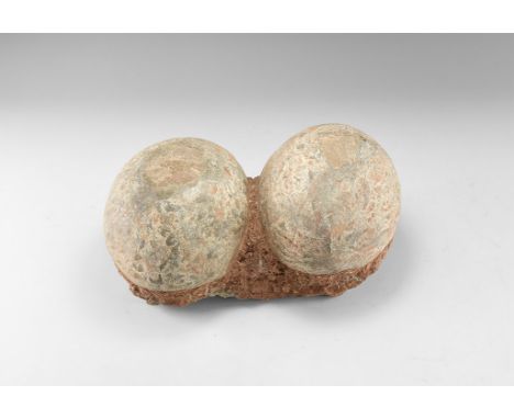 Cretaceous Period, 145-65 million years BP. A pair of fossil hadrosaur Charonosaurus eggs on matrix retaining evidence of the