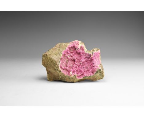 A mass of dark pink rhodochrosite crystals on matrix, in old white card tray. See Bonewitz, Dr. Ronald Louis, Rocks & Mineral