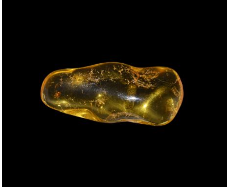 Oligocene Period, 45 million years BP. A clear piece of Baltic amber containing an insect together with other inclusions.   1