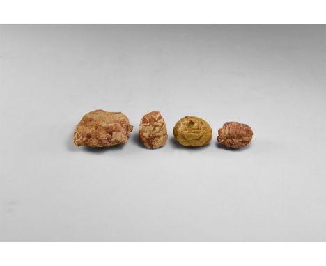 Eocene Period, 58-36 million years BP. A fossil seed (pine cone) group from the Sahara Desert of Morocco, west of Boujdour.  