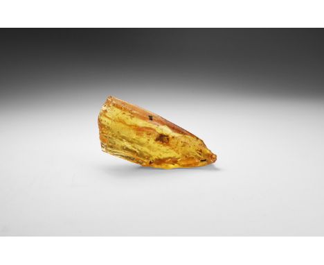 1 million years BP. A large piece of polished copal containing several insects and other inclusions, from Madagascar.   27 gr