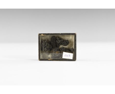 2nd millennium BC. A mixed group of carbonised grains of wheat and barley in a card box with acetate lid, old handwritten lab