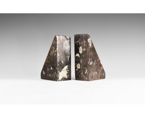 Devonian Period, 417-354 million years BP. A matched pair of limestone blocks with orthoceras inclusions, polished faces.   2