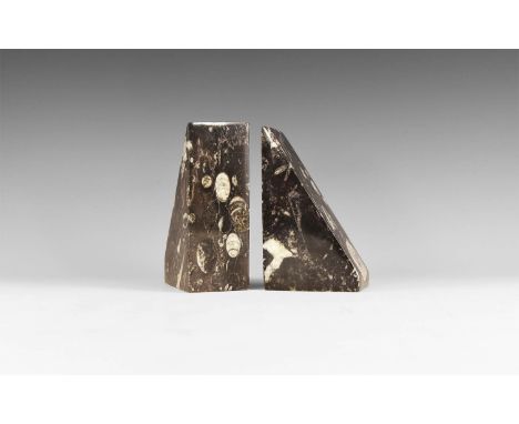 Devonian Period, 417-354 million years BP. A matched pair of limestone blocks with Orthoceras sp. inclusions, polished faces,