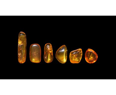 Oligocene Period, 45 million years BP. A group of six pieces of Baltic amber each containing flies together with other inclus