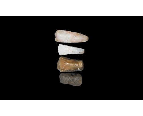 Neolithic, 5th-3rd millennium BC. A mixed group comprising: a leaf-shaped polished blade with rounded butt and square edge; a