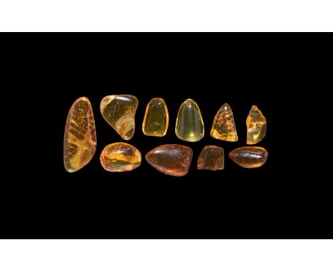 Oligocene Period, 45 million years BP. A group of ten pieces of Baltic amber each containing flies together with other inclus