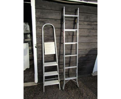 Alloy step ladder and extending ladder 