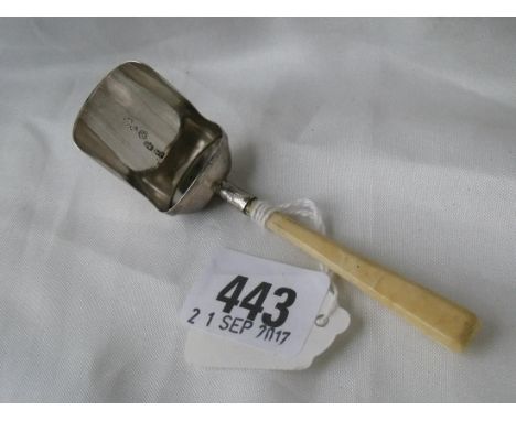 Georgian caddy scoop with ivory handle Birm 1805  by WP         