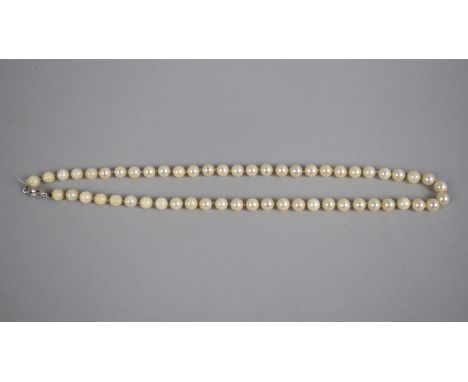 A Single Row Matched Pearl Necklace with 18ct Gold White Metal Clasp, (In Need of Restringing) 