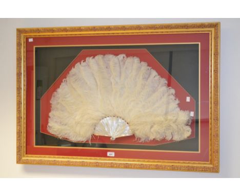 A Victorian ostrich feather fan, mother of pearl blades, framed. 