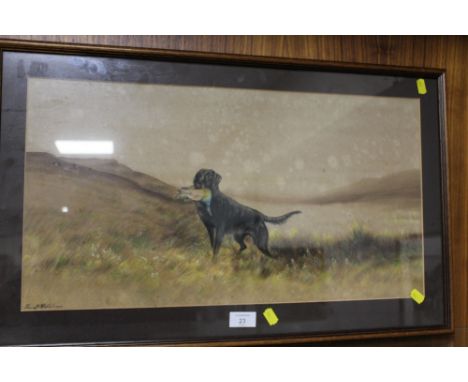 A FRAMED, SIGNED WATERCOLOUR OF A SPORTING DOG