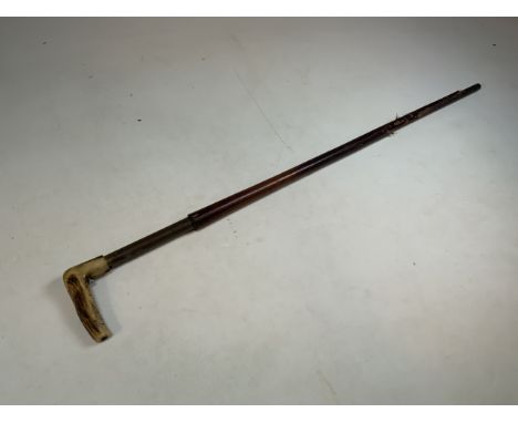 A poachers shooting stick, with carved horn handle and malacca cane with pull loading action (trigger missing)H:87cm