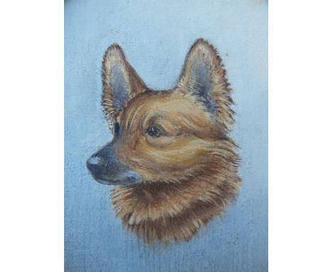 (XX). Oval portrait, miniature study of a dog, unsigned, gouache, framed in a strut back case frame, 7 x 6 cm
