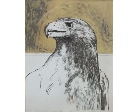 BRYAN ORGAN (b.1935). Study of an eagle, signed in pencil lower left, limited edition lithograph on paper, 26/175, framed and