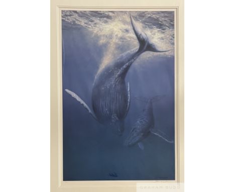 John Seerey-Lester (British 1945-2020) 'Ohana Blue' 1996
Signed limited edition offset lithograph from edition of 350
Measure