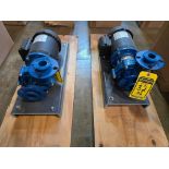 (2x) FTI 1" Centrifugal Pumps, 1/2 HP, Model DB7P-FS-M227, Mounted on Steel Frame (New 2022) ($10 Lo