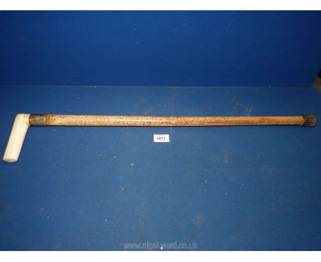 A bone handled walking stick, the white metal band inscribed S.F. Farr.