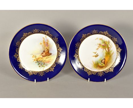 A PAIR OF ROYAL WORCESTER CABINET PLATES PAINTED BY A.SHUCK, blue and gilt borders, the centres with birds in flight and stan