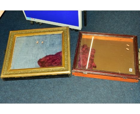 TWO WOODEN DISPLAY CASES, each of a rectangular form, the first fitted with a gilt frame and glass lid and a single handle, a