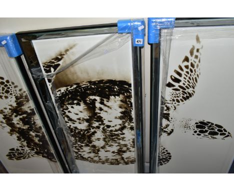TO BE SOLD FOR CHARITY - A PHOTOGRAPHIC TRIPTYCH PRINT OF A SEA TURTLE, framed with mirror glass to the bevel edges, each pan
