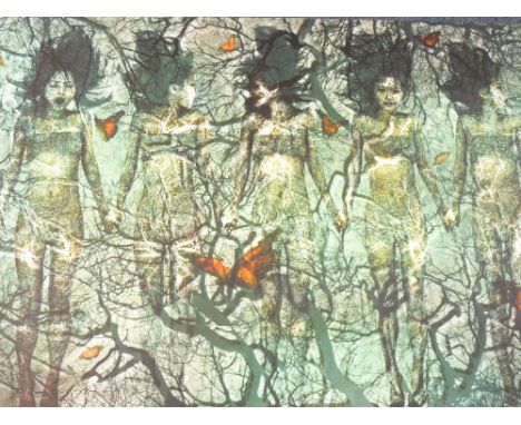ZOE McIVER/UNDERWOOD limited edition canvas print, (1/12) titled - 'Cho No Mori', titled, numbered and signed verso dated 200