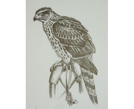 CHARLES FREDERICK TUNNICLIFFE limited edition print (11/90) - a perched hunting hawk, 30 x 22cms