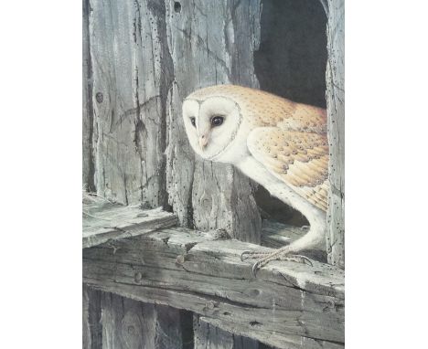 RALPH WATERHOUSE coloured guild stamped print - alert Barn owl peering out of a hole in timbers, signed in full, 55 x 42cms
