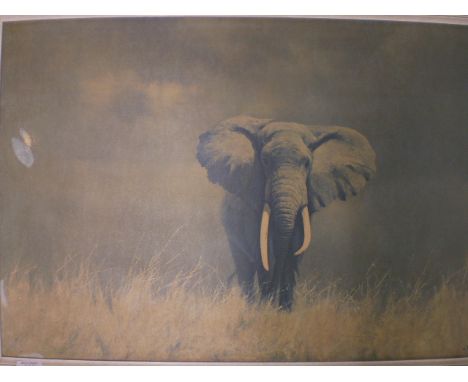 FRAMED DAVID SHEPHARD LITHOGRAPH TITLED ' WISE OLD ELEPHANT' ( 82 X 58 CM) A/F 