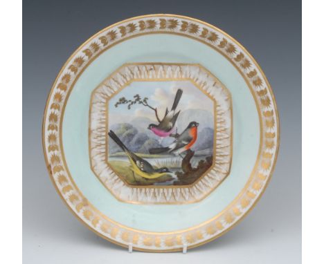 A Derby shaped circular dish, painted by Richard Dodson, painted with three birds in a shaped panel under a light turquoise b
