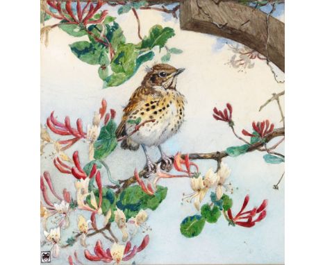 Winifred Austen, "Young song thrush", watercolour, 22.5cm x 21cm, label verso from Roland Ward, Piccadilly; and a hand writte