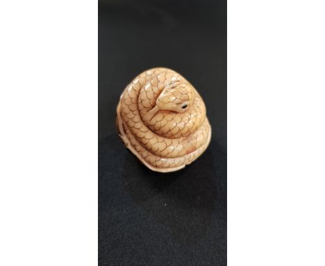 CARVED SNAKE NETSUKE